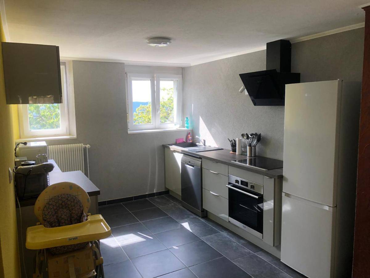 Appartement entier, Gîte de montagne au pied du Champ du Feu (Alsace) in Belmont (Bas-Rhin), Bas-Rhin Alsace