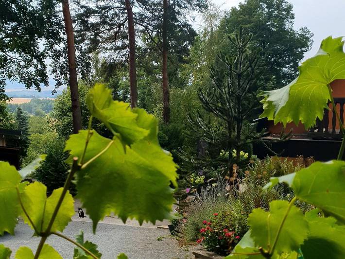 Ferienhaus für 2 Personen, mit Terrasse in Sachsen - 3