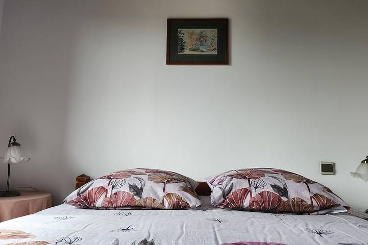 Location de vacances pour 8 personnes, avec jardin, animaux acceptés à Saint-Pal-de-Chalencon - 4