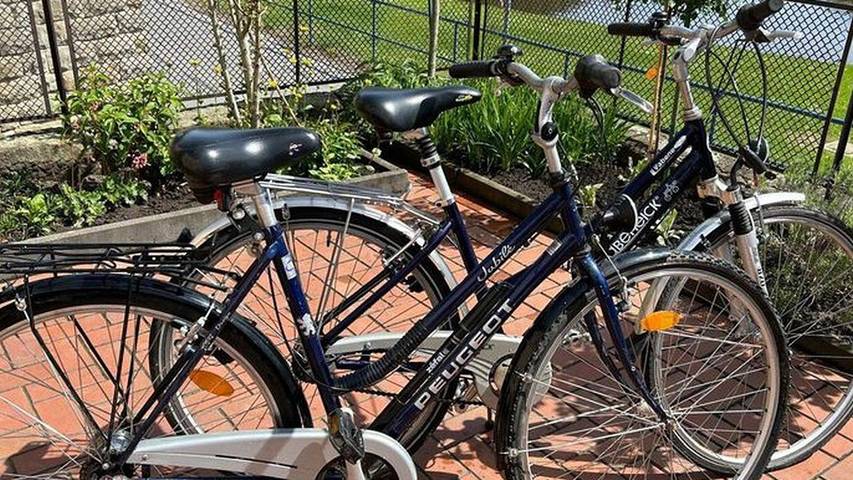 Ferienwohnung für 3 Personen, mit Terrasse in Bastei - 2