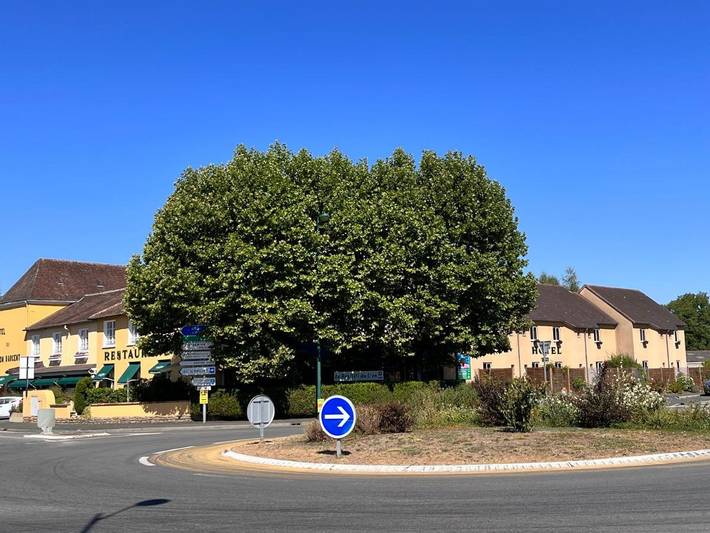 Hôtel pour 2 personnes, avec piscine et jardin, animaux acceptés à Montgivray - 3
