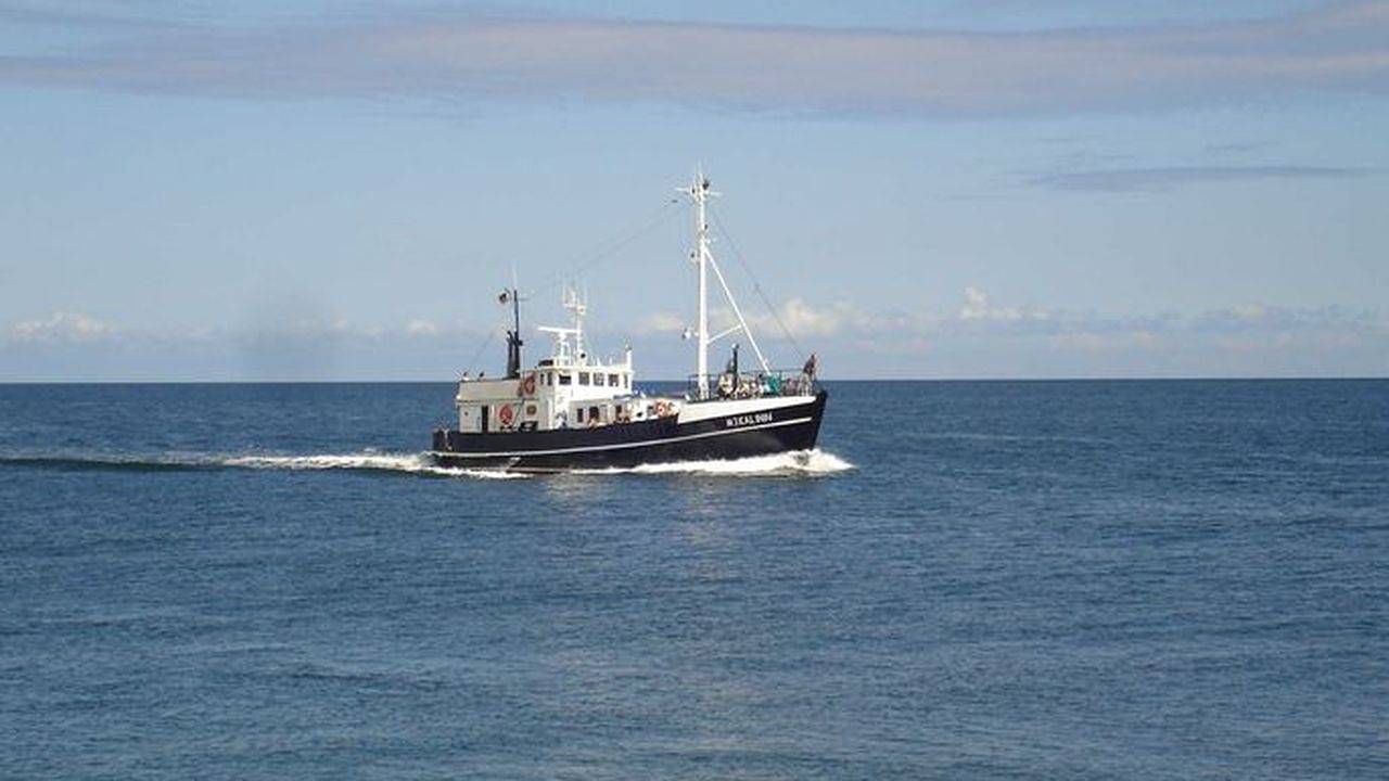 Doppelzimmer für 2 Personen (32 m²) in Karlshagen in Karlshagen, Usedomer Norden