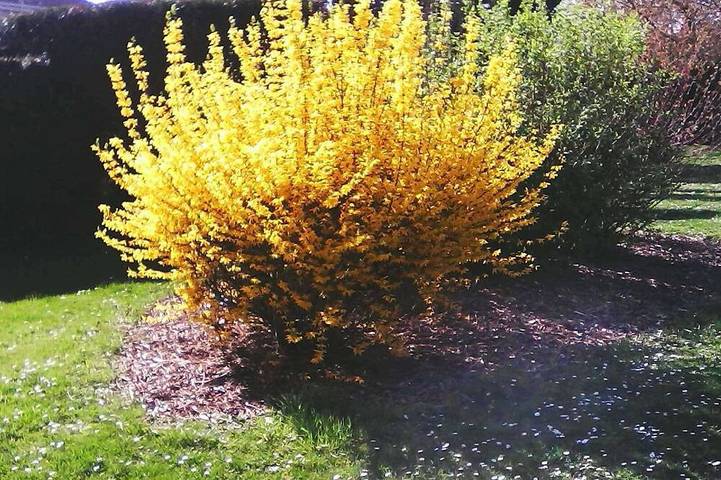 Location de vacances pour 8 personnes, avec piscine à Saint-Bauzille-de-la-Sylve - 2