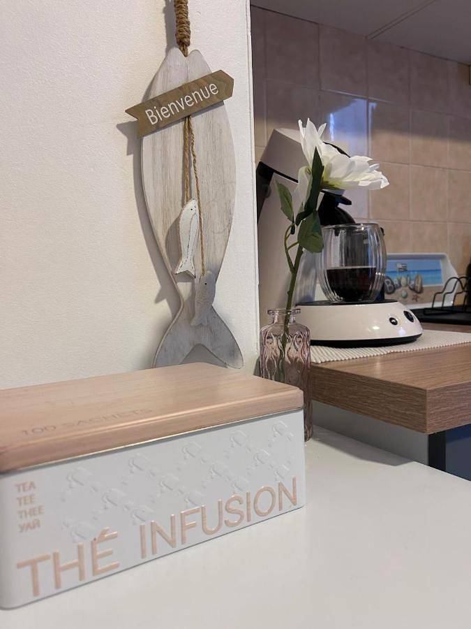 Gîte pour 3 personnes, avec terrasse, animaux acceptés à Pleyben - 4