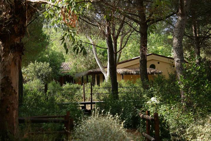 Bungalow für 6 Personen in der Maremma - 3