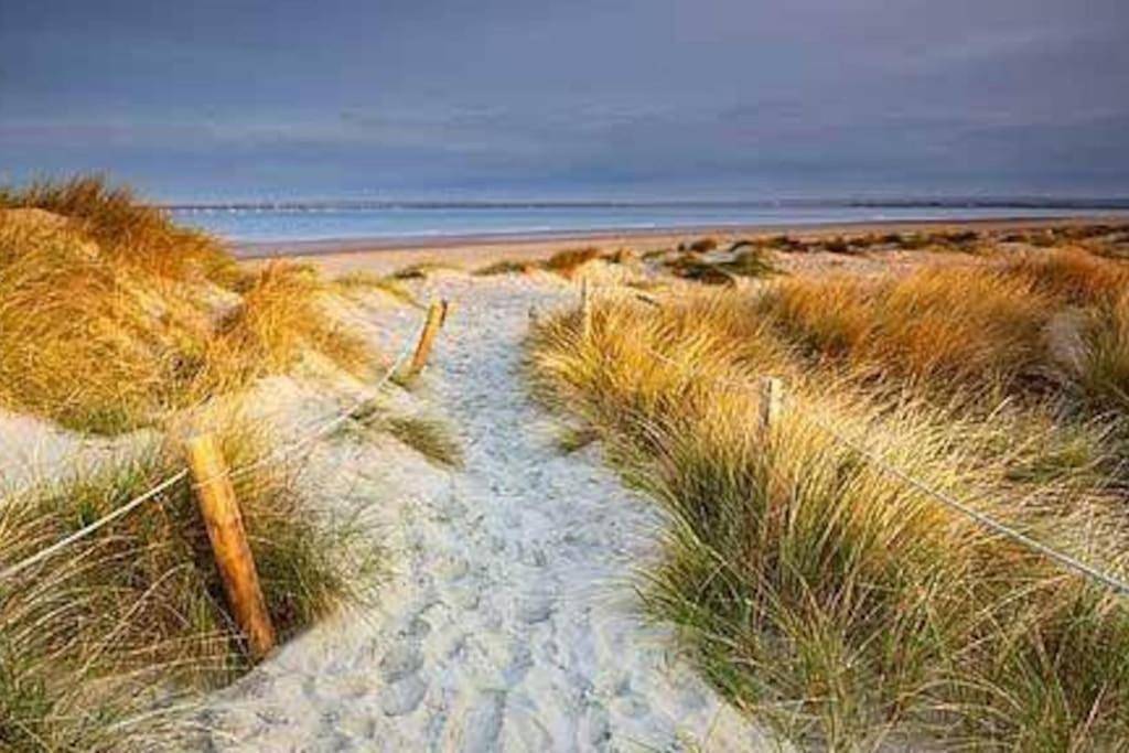 Beach house close to sandy beach in West Wittering Beach, West Wittering