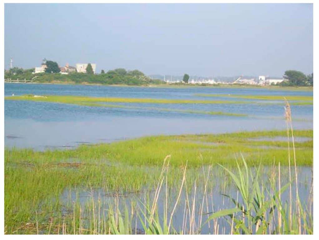 Camping for 5 Guests in South Kingstown, Rhode Island