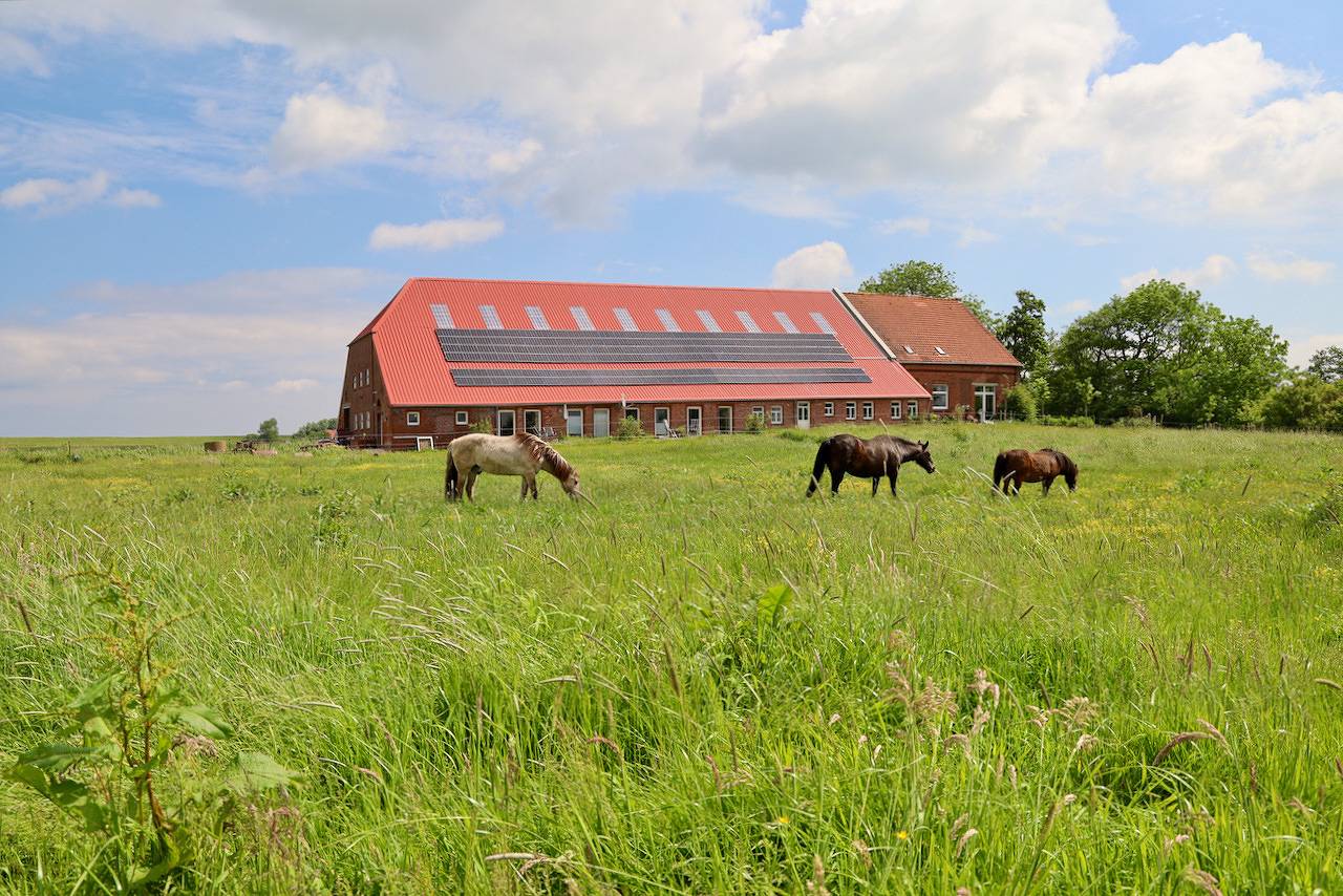 Ganze Ferienwohnung, Sömmertied, Exklusive 4-Sterne-Fewo von 2024, Sonnenterrasse, eigener Zugang zur 150 m entfernten Nordsee in Ostbense, Neuharlingersiel
