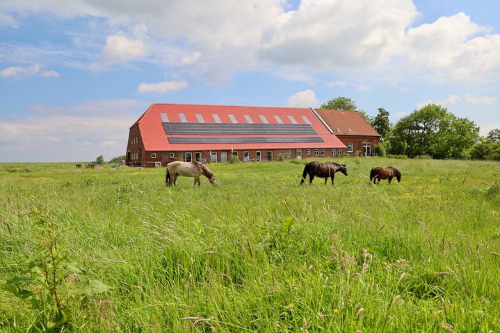 Ferienwohnung für 2 Personen, mit Terrasse und Garten sowie Ausblick in Neuharlingersiel