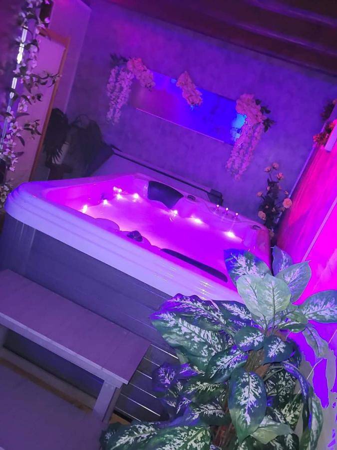 Chambre d’hôte pour 2 personnes, avec jardin ainsi que vue et piscine dans le Puy-de-Dôme - 2