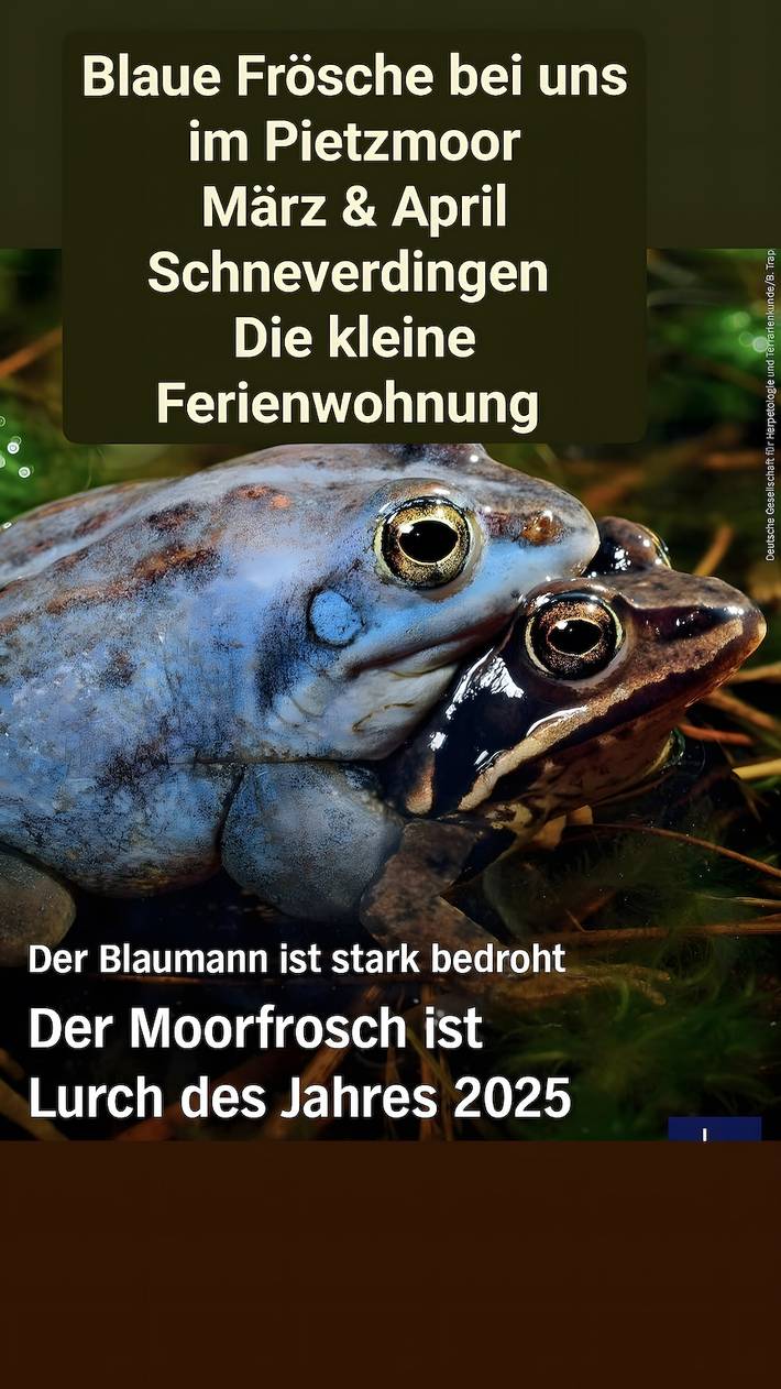 Ferienwohnung für 2 Personen, mit Garten in Landkreis Heidekreis - 3