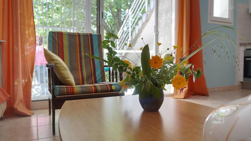 Gîte pour 4 personnes, avec terrasse, animaux acceptés à Latour-Bas-Elne - 4