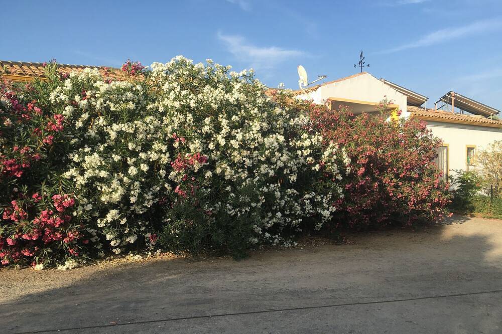 Villa écologique las gateras in Villamartín, Provincia de Cádiz