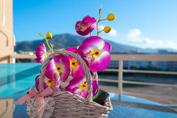 Apartment for 4 People in L'Albir, Alfàs del Pi, Photo 2