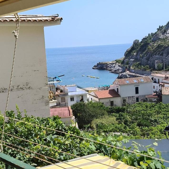 Ferienwohnung für 4 Personen, mit Ausblick und Terrasse, mit Haustier - 1