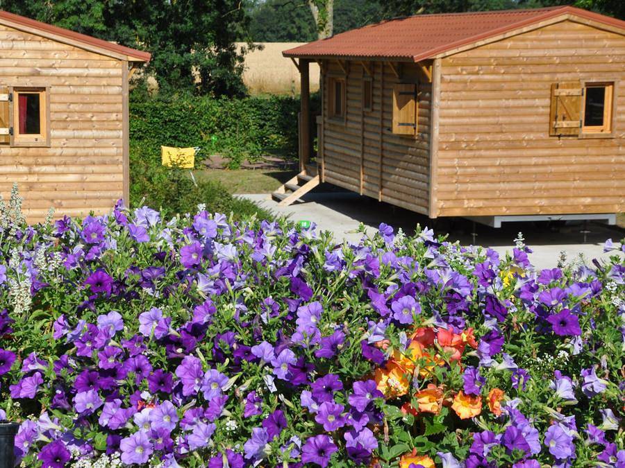 Camping de l'Hippodrome - Chalet 4 personnes - Eco-Nature in Sablé-sur-Sarthe, Sarthe