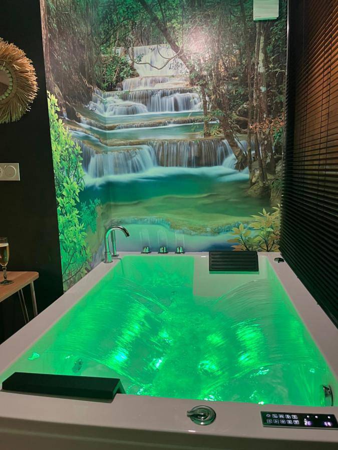 Location de vacances pour 2 personnes, avec jardin et jacuzzi à Muret - 4