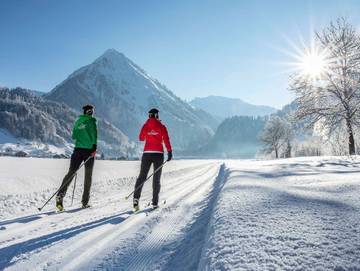 Ferienwohnung für 4 Personen in Schoppernau, Allgäuer Alpen (Österreich), Bild 1
