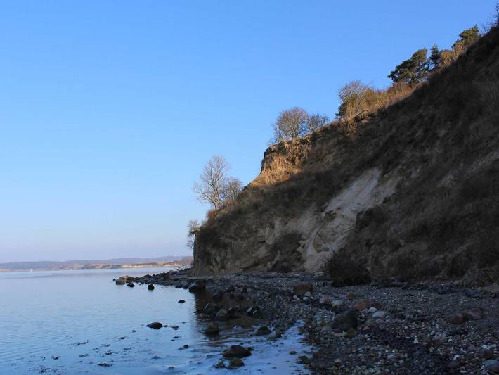 Ferienhaus für 3 Personen, mit Sauna und Terrasse, mit Haustier in Alt Reddevitz - 4