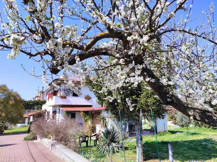 Casa vacanza per 8 persone, con Terrazza e Giardino nonché Panorama a Palombara Sabina