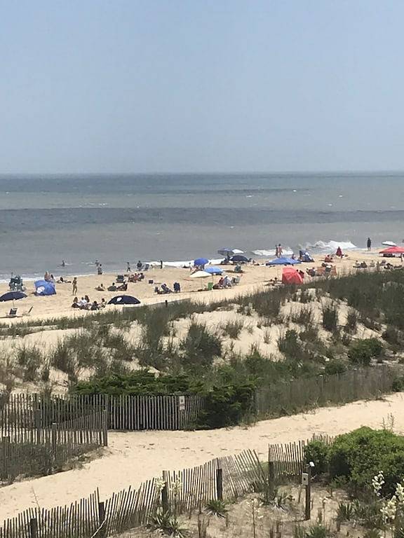 Ganze Wohnung, Ihre Vacation Paradise !! Ocean Front !! Haustiere willkommen !! Off Season Wochenende !! in Ocean City, Worcester County