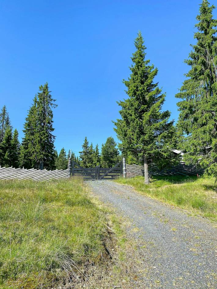 Berghütte am Ende einer ruhigen Straße bei Tisleia in Nord-Aurdal