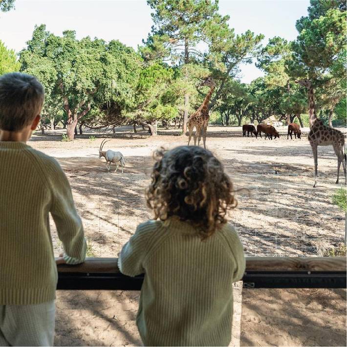 Camping voor 3 personen, met tuin in Alentejo