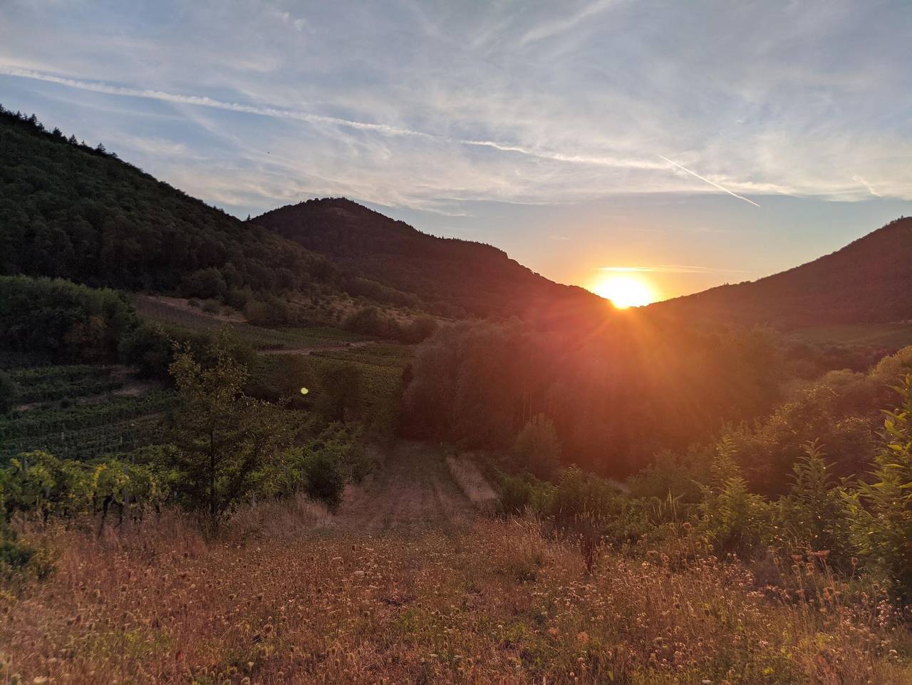 Ganze Ferienwohnung, Zum Hühnerheisel - Appartement/Fewo, Bad, Wc, 1 Schlafraum in Ilbesheim bei Landau in der Pfalz, Südliche Weinstraße