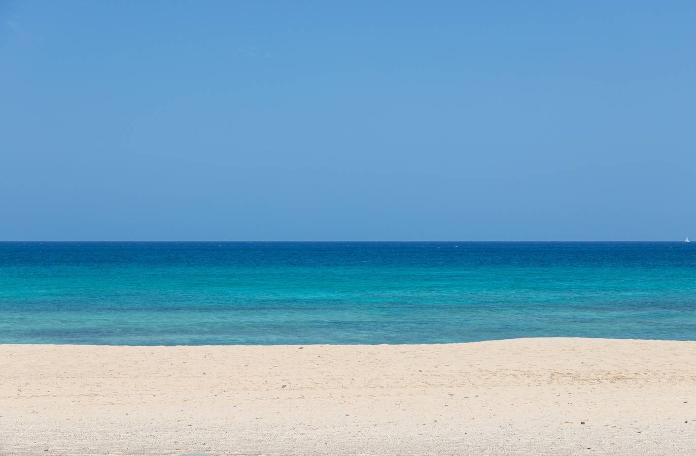 Ganze Wohnung, Lightbooking Paradise Home Corralejo in Puerto de Corralejo, La Oliva