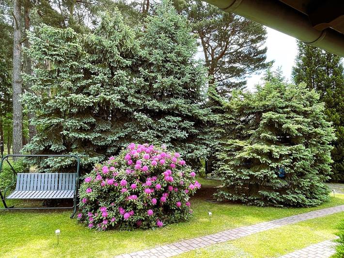 Ferienwohnung für 2 Personen, mit Terrasse und Garten am Bärwalder See - 3
