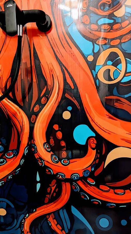 Ferienhaus für 4 Personen, mit Ausblick und Terrasse sowie Seeblick in Fürstenberg/Havel - 4