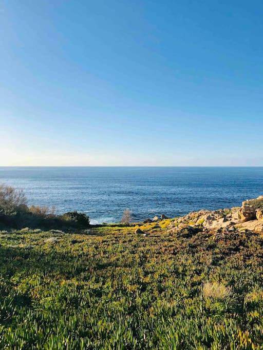 Appartement entier, Studio à 100m de la mer in Aregno, Région de Calvi