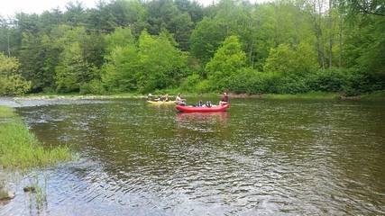 Cottage for 4 People in Pennsylvania, USA, Photo 1