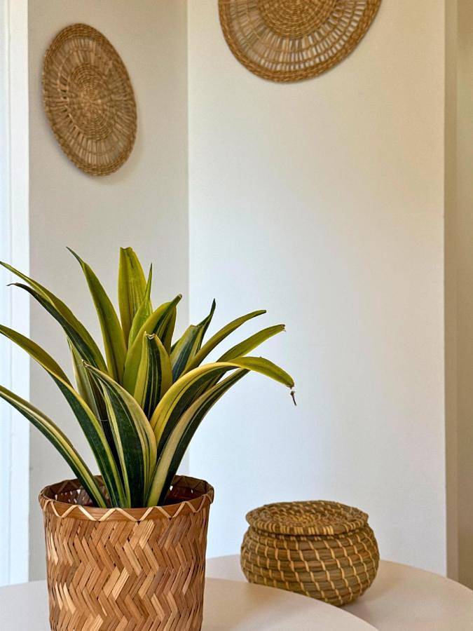 Gîte pour 4 personnes dans Thermes Berot - 4