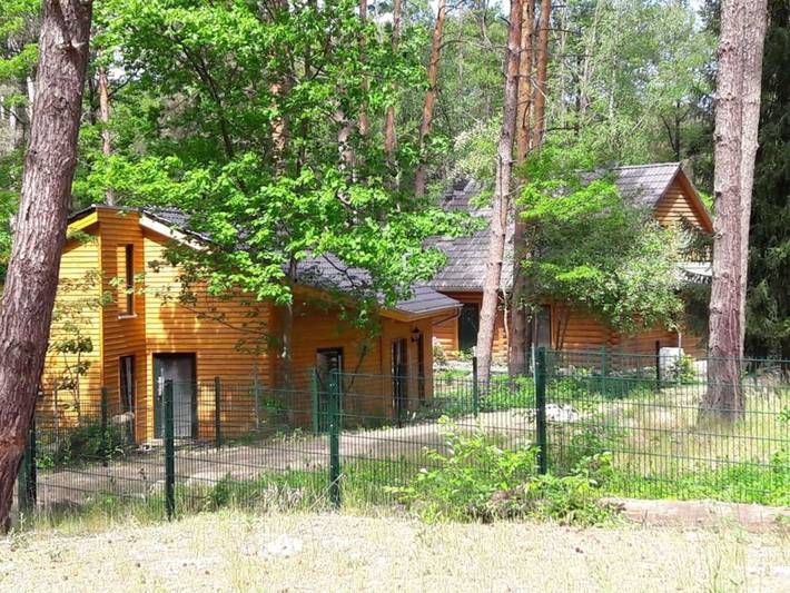 Ferienhaus Unsere Arche - Ferienhaus Arche 1, 2 Sr, Du/Wc in Wendisch Rietz, Dahme-Seengebiet