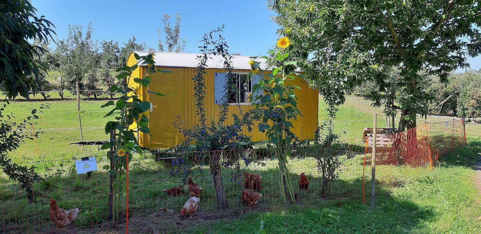 Ganze Ferienwohnung, Ferienwohnungen Hof Schnell - Ferienwohnung 2, 60 qm, 1 Schlafzimmer, max. 4 Pers. in Kressbronn am Bodensee, Region Bodensee-Oberschwaben