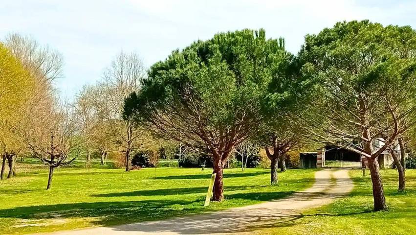 Chambre d’hôte pour 2 personnes, avec vue ainsi que piscine et jardin à Lempaut - 3