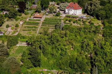 Hotel für 4 Personen in Bad Kösen, Saale-Unstrut, Bild 1