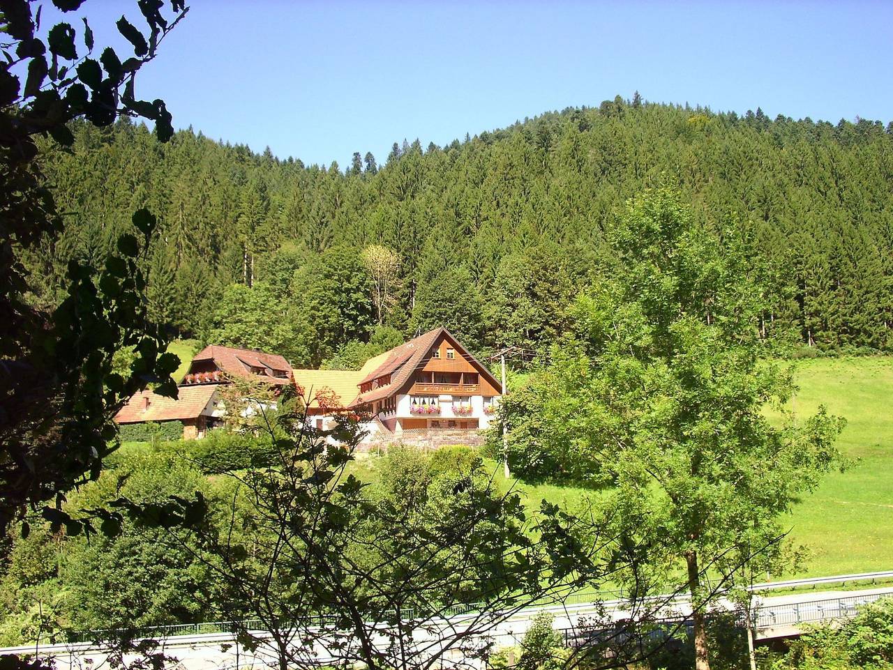 Ganze Ferienwohnung, Ferienwohnungen Vogt's Libding - Ferienwohnung Talblick in Bad Rippoldsau-Schapbach, Mittlerer Schwarzwald