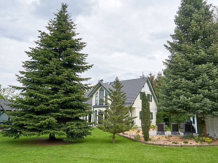 Ferienhaus für 14 Personen, mit Garten und Sauna in Lübbenau - 3