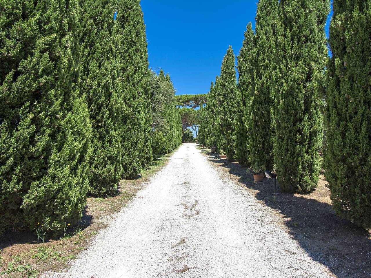 Appartamento intero, Podere Tre Termini in Cecina, Costa degli Etruschi