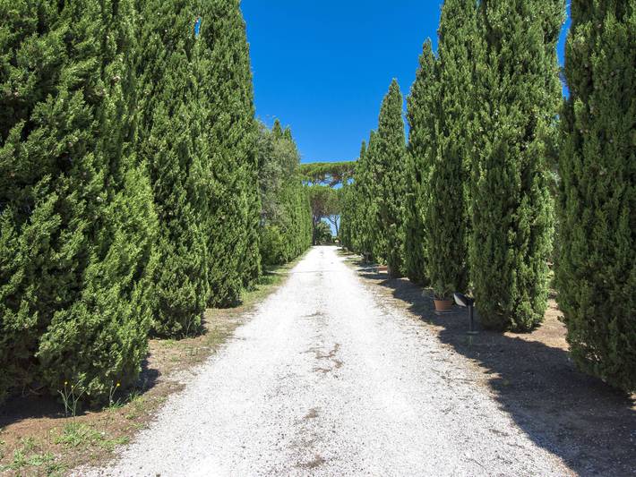 Ferienwohnung für 4 Personen in Cecina - 4