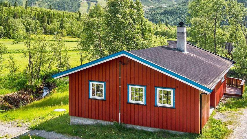 Ferieudlejning for 7 personer, husdyr tilladt i Hemsedal