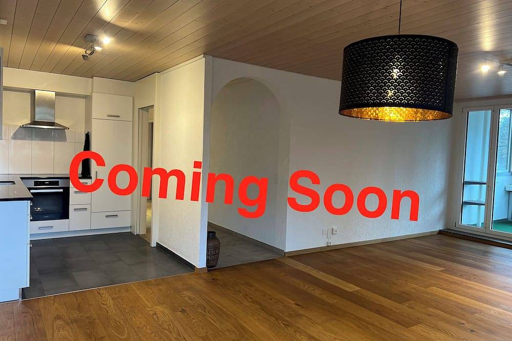 Ganze Wohnung, Dock and Dwell City Appartment in Bern, Berner Oberland