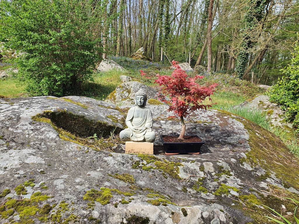 Gîte Le Jardin des Roches in Moigny-sur-École, Parc naturel régional du Gâtinais français