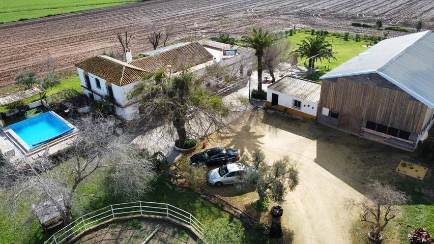 Casa rural para 15 personas, con vistas además de piscina y jardín en Alcalá de Guadaíra - 4