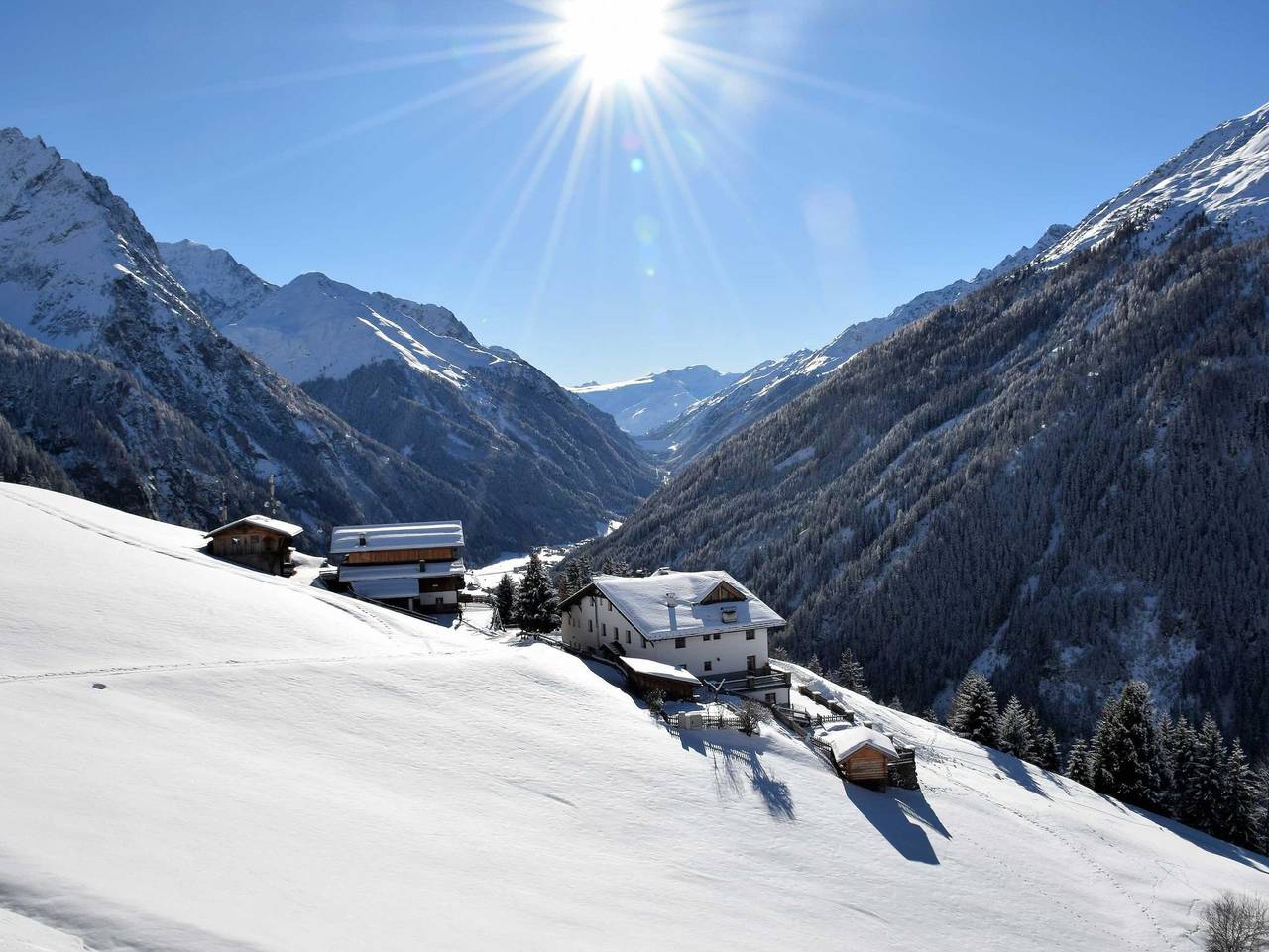 Wiesenhof - Alpenrose in Kaunergrat, Kaunertal