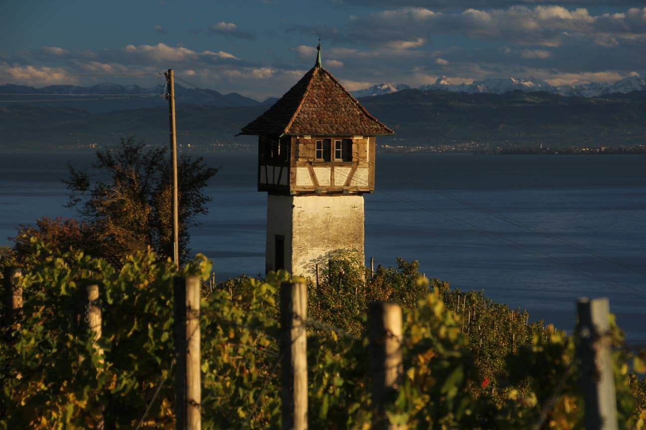 Gästehaus am Hafen - Doppelzimmer Gästehaus in Meersburg, Obersee (Bodensee)