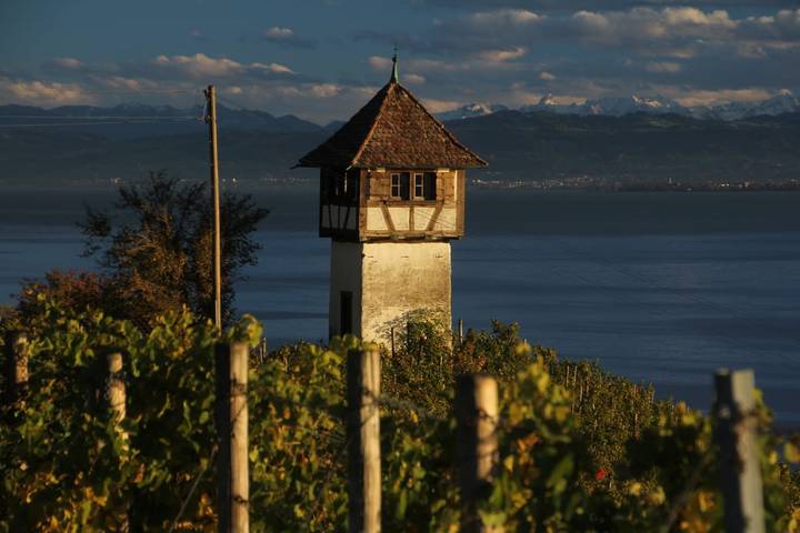 Pension pour 2 personnes à Meersburg - 4