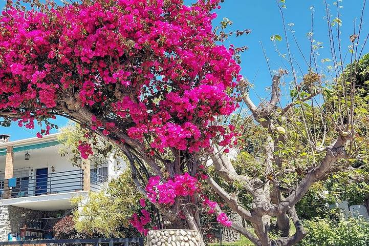 Ferienhaus für 6 Personen, mit Garten und Terrasse in Velilla-Taramay